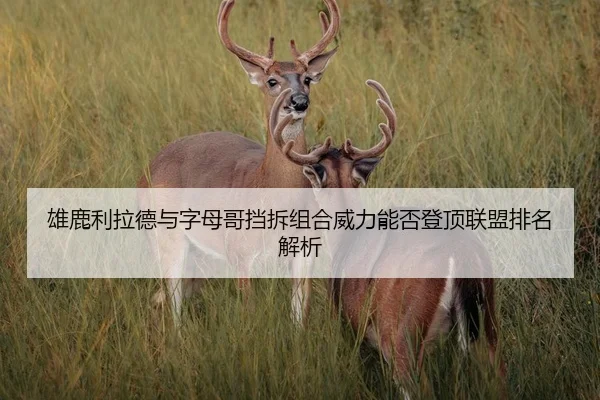 雄鹿利拉德与字母哥挡拆组合威力能否登顶联盟排名解析 | c7c7